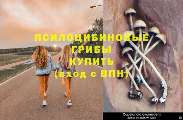 Альфа ПВП Верея