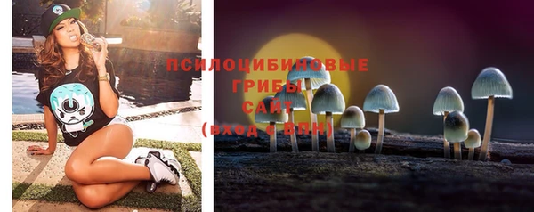 ГАЛЛЮЦИНОГЕННЫЕ ГРИБЫ Бугульма