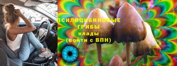 Альфа ПВП Верея