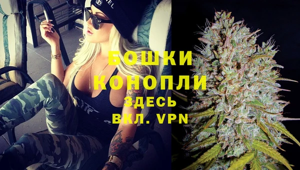 Альфа ПВП Верея