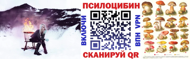 shop наркотические препараты купить наркотик Гороховец Галлюциногенные грибы прущие грибы